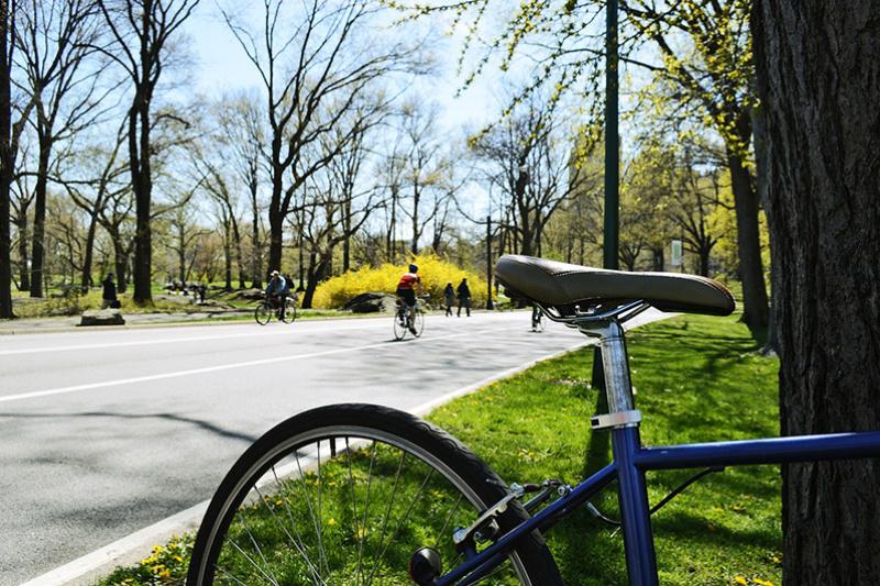 Group of tourists bikes in Central Park