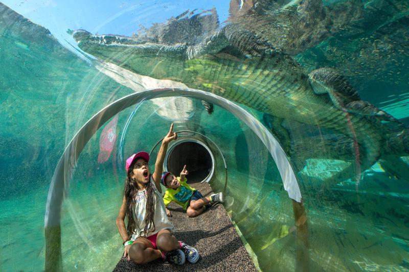 The tunnel through the water exhibit in the Florida: Mission Everglades zone
