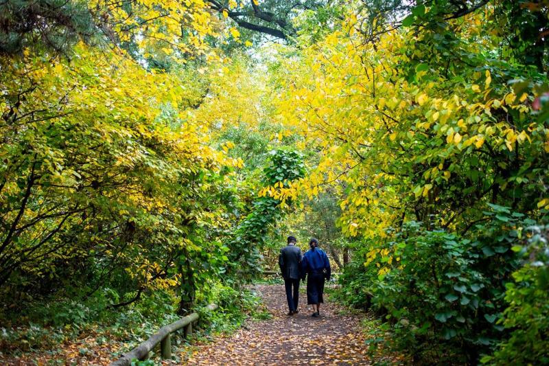 Two people walk on a path through trees at the Brooklyn Botanical Gardens.